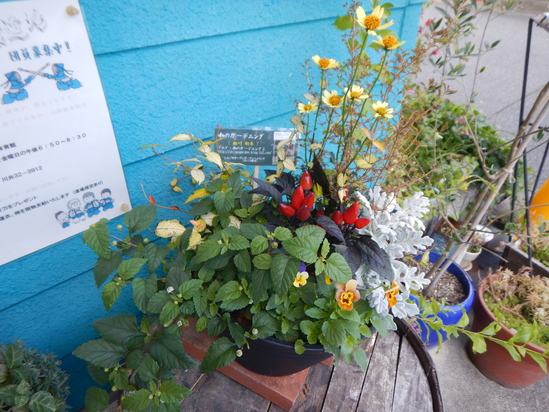 d0231858_18251733.jpg