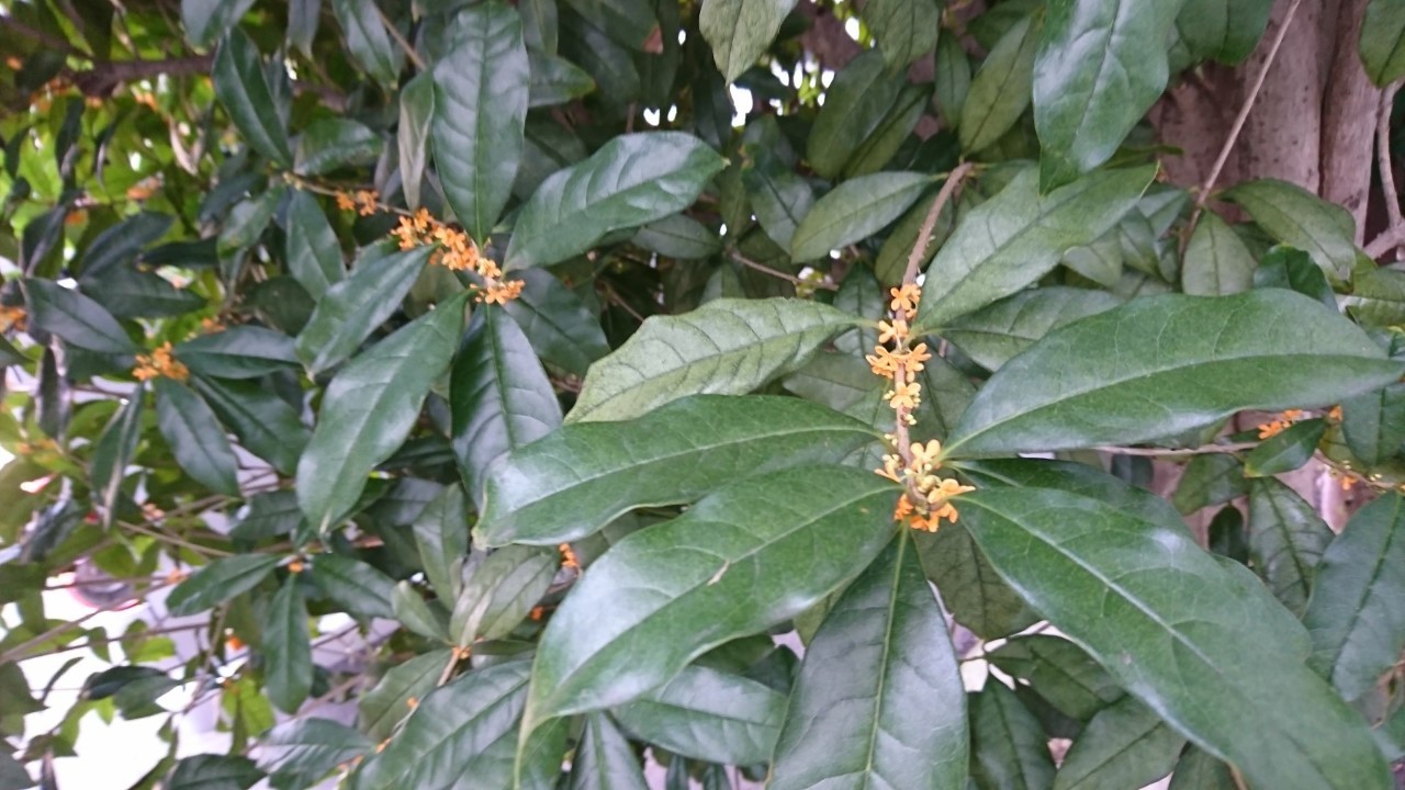 b0374059_20492330.jpg