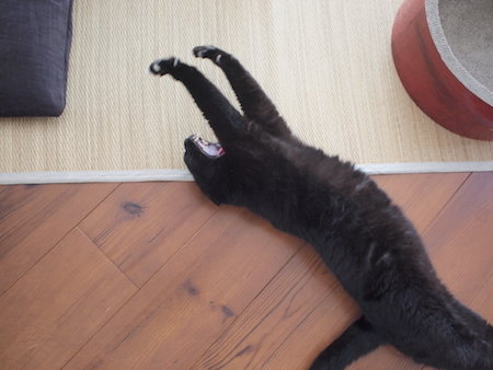 結局いい日_a0335560_20525492.jpg