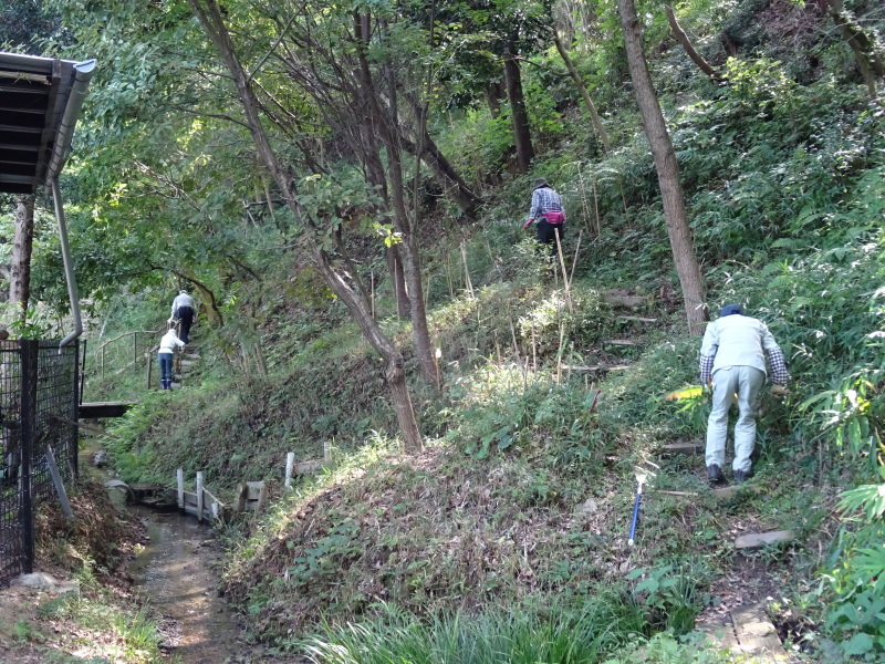 c0108460_01042007.jpg