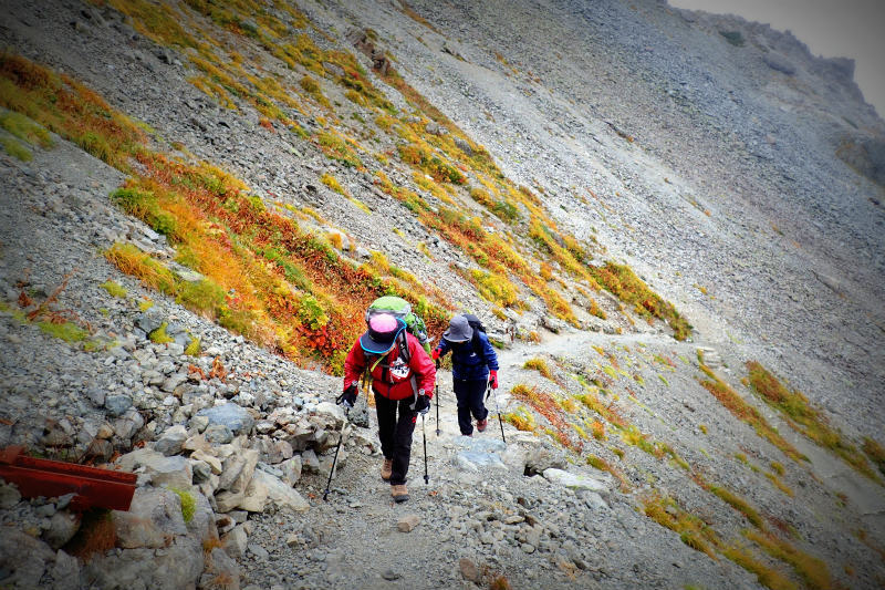 d0110562_08480838.jpg