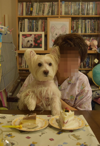 b0242873_10082827.png