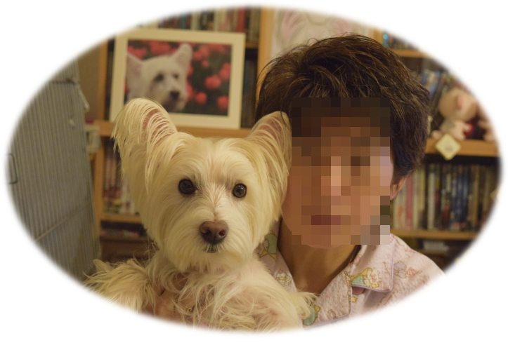 b0242873_10094061.png