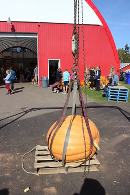 c0353373_02572722.jpg