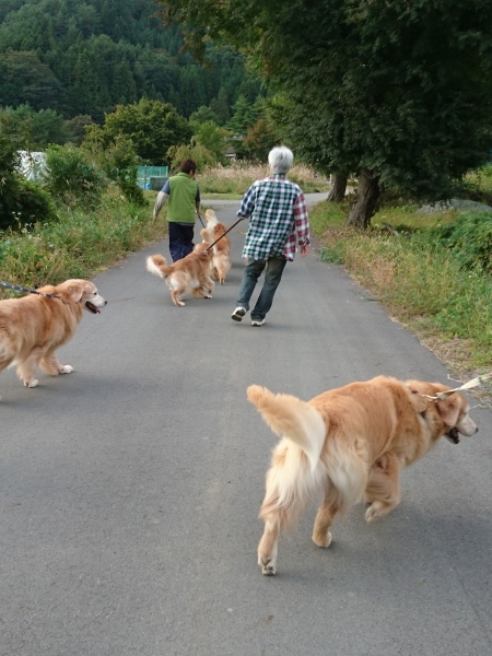 初めての犬なしキャンプ_d0116574_09492477.jpg