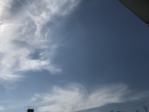 a0130778_11332713.jpg