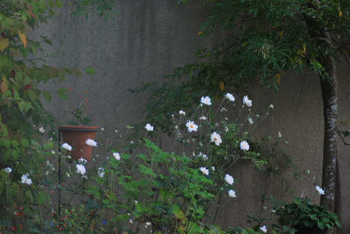 a0157581_07275870.jpg