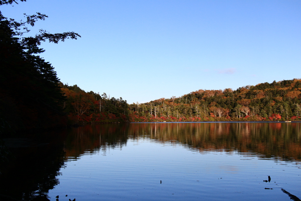 今年初の紅葉狩り_e0338886_14242563.jpg