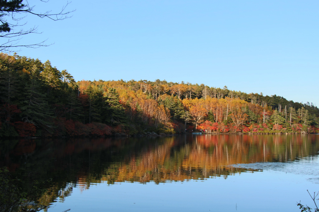 今年初の紅葉狩り_e0338886_14244584.jpg