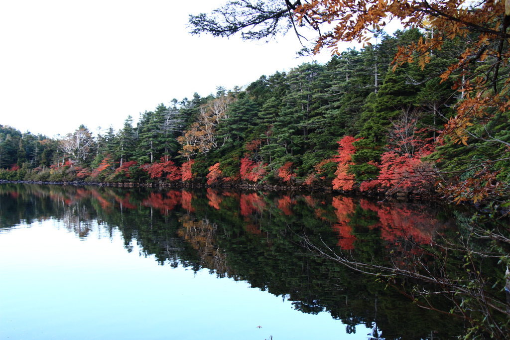 今年初の紅葉狩り_e0338886_14251479.jpg