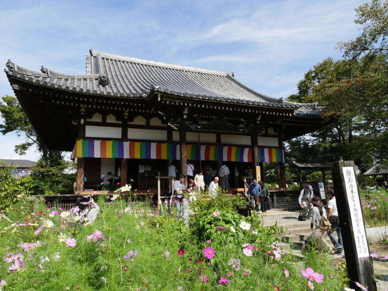 般若寺　一休寺　ツーリング_e0108791_06452647.jpg