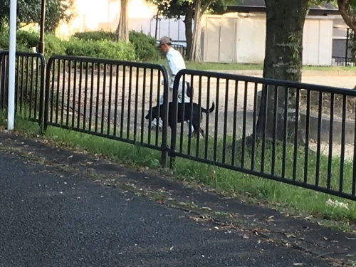 f0347891_19560115.jpeg