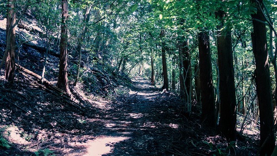 e0176993_07233805.jpg
