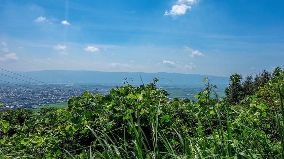 e0176993_07233874.jpg