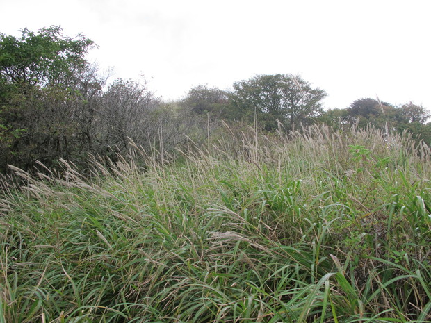 a0166196_142901.jpg