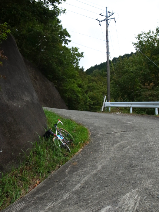 d0081997_20004014.jpg