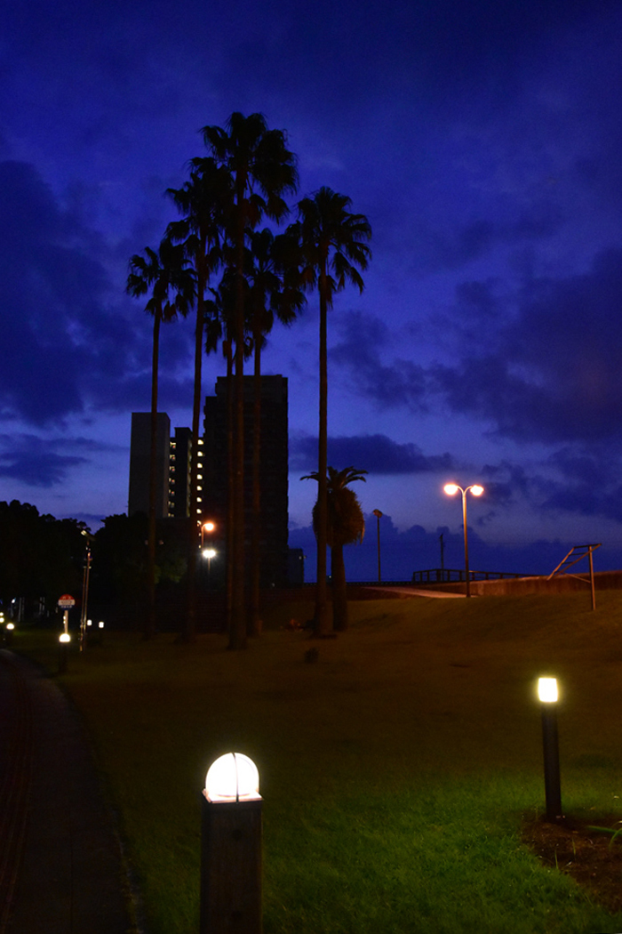 c0049299_21065170.jpg