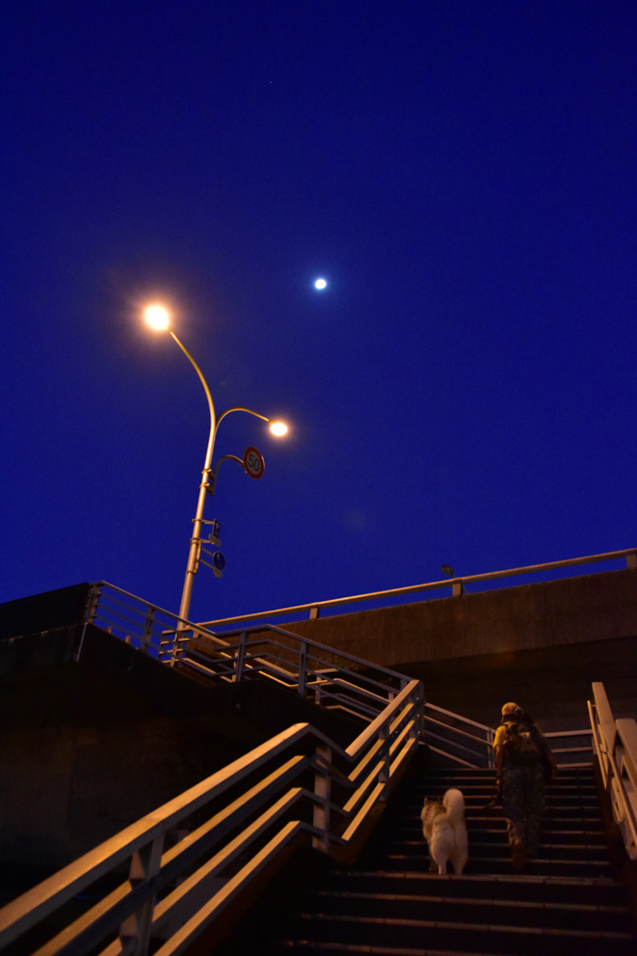 c0049299_21074284.jpg