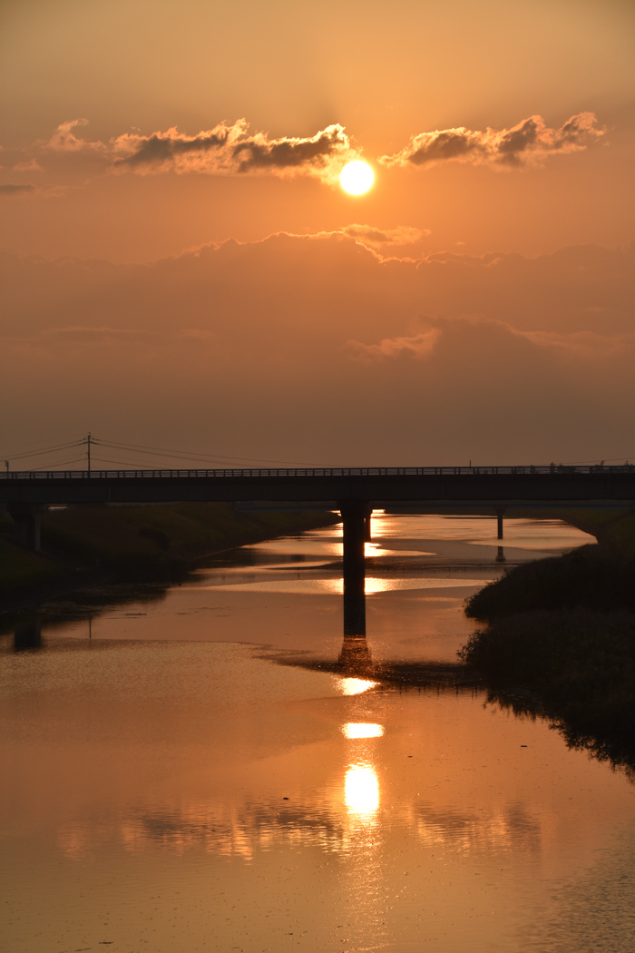 c0049299_21162347.jpg