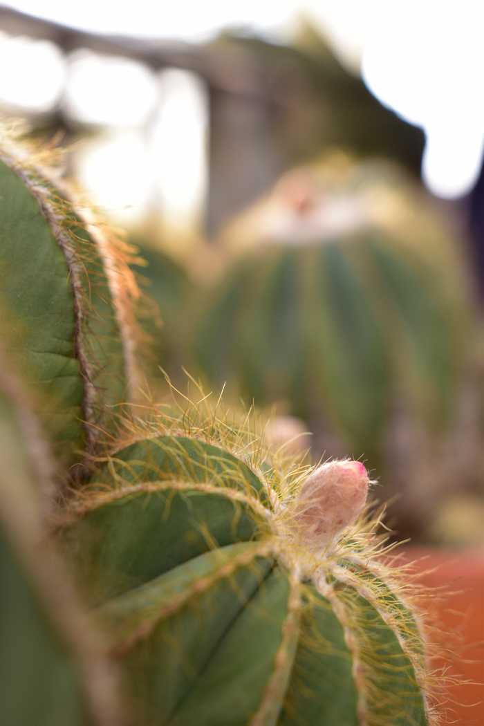 c0049299_21252669.jpg