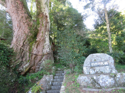 c0125501_22561817.jpg