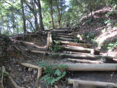 53回目の高尾山登山です~♪_d0046702_07124866.jpg