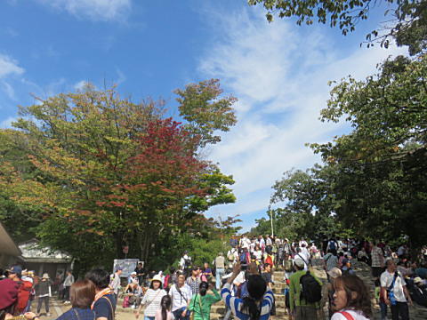 d0046702_07171333.jpg