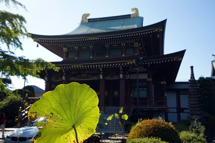 実は怒涛の五連休だったんです。。_c0187503_17302685.jpg
