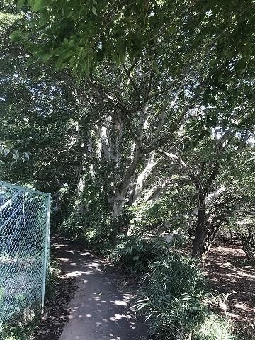 e0270403_16355387.jpg
