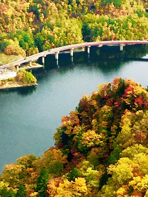 a0345007_8315519.jpg