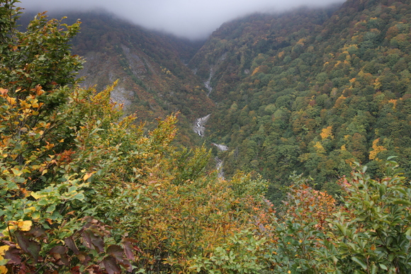 d0227310_18575257.jpg