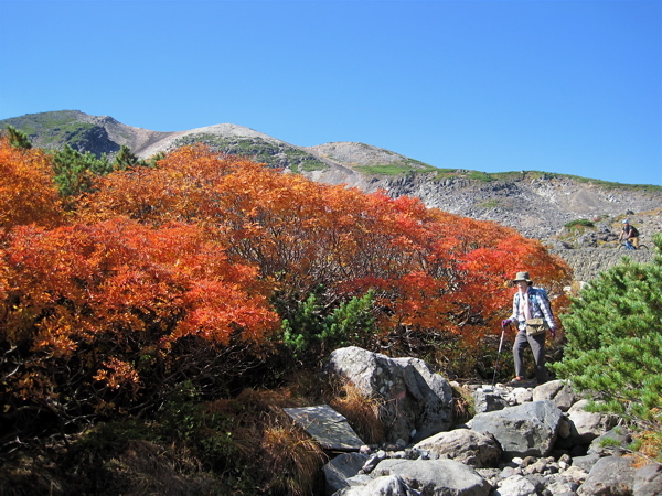 青空の紅葉・・・乗鞍岳　_a0164011_23085492.jpg