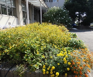 c0386412_15261851.jpg