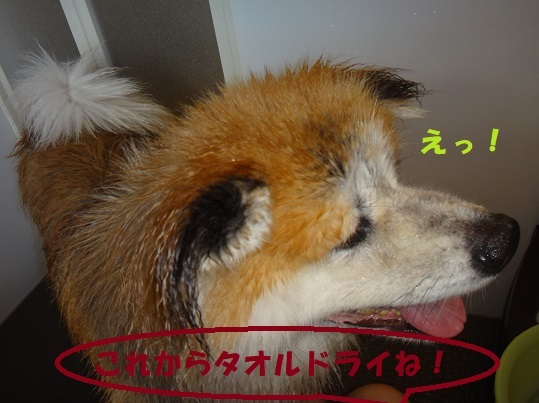 f0121712_07530092.jpg
