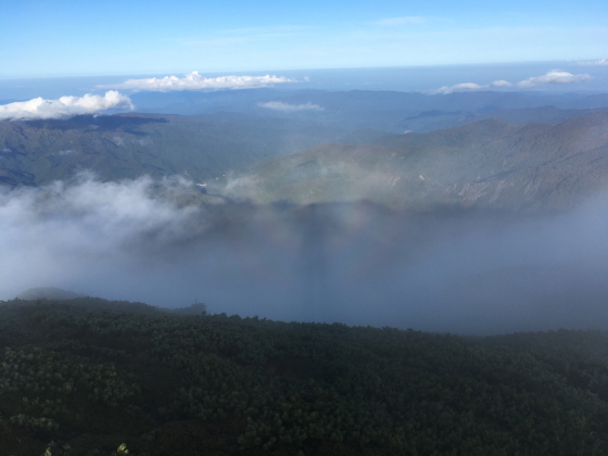 e0132713_09220854.jpg