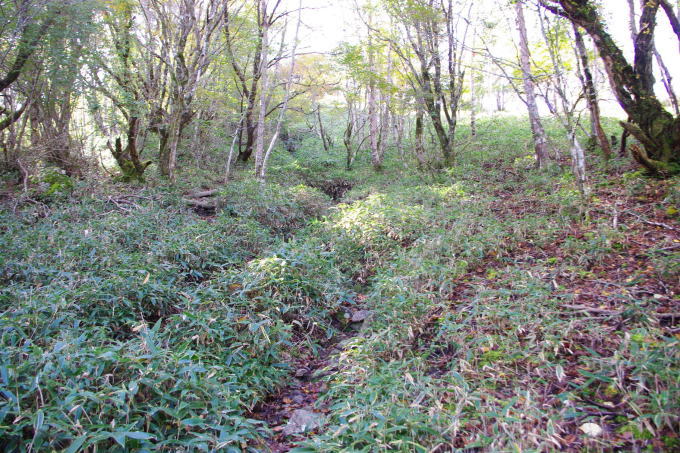 d0341514_21460645.jpg