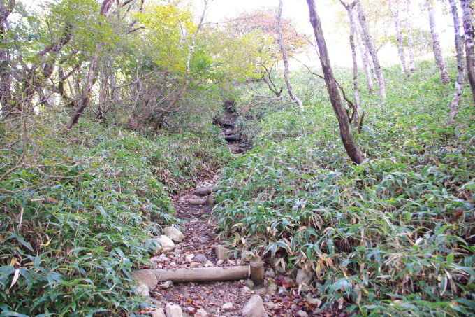 d0341514_21464234.jpg
