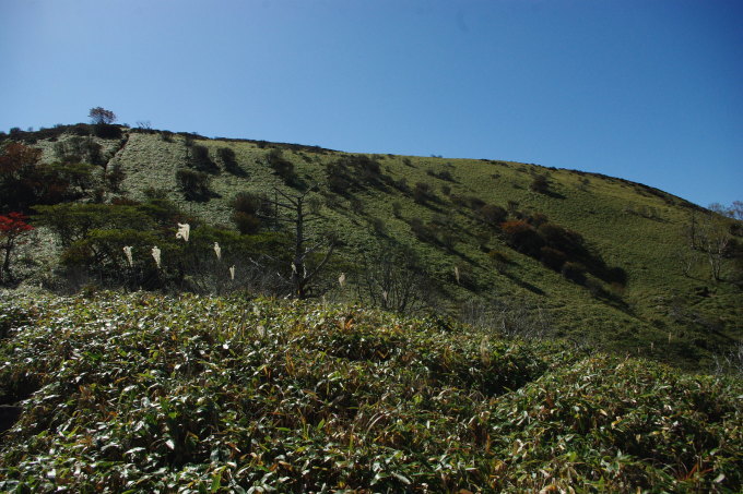 d0341514_21573187.jpg