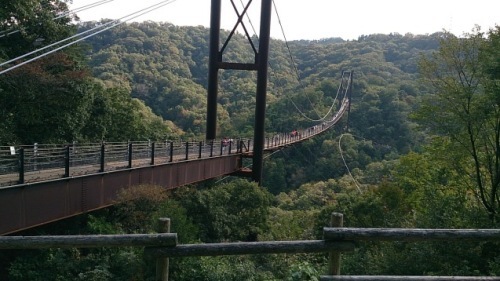 ほしだ園地(岡)_f0354314_21442332.jpg