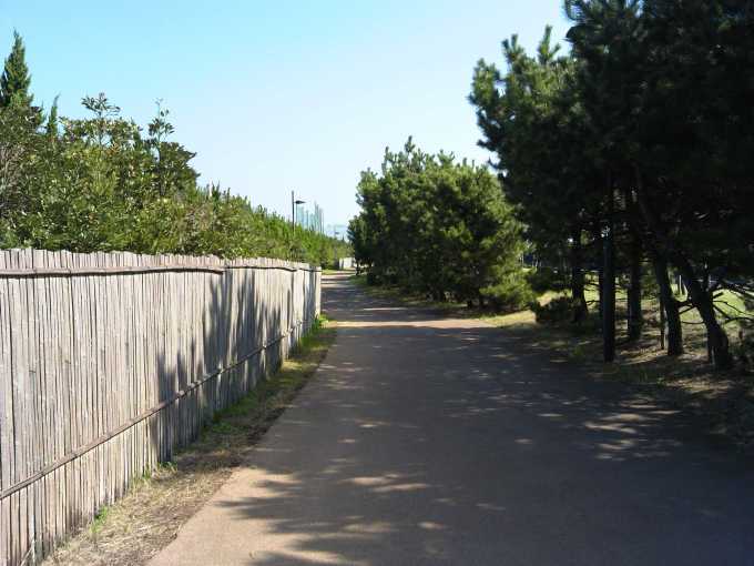 f0376214_13101300.jpg