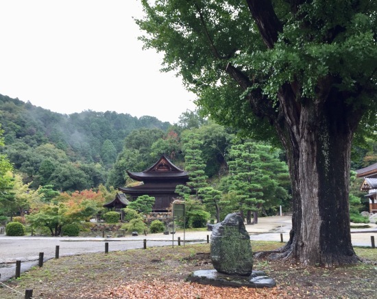 虎渓山にて_f0197215_13473549.jpg