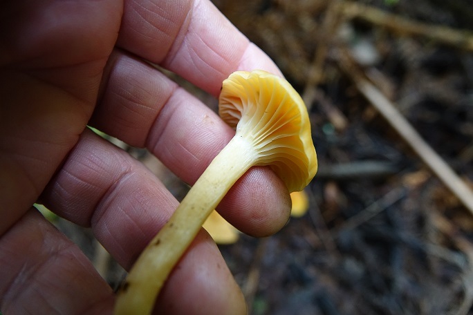 f0360815_15151491.jpg