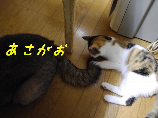 f0282319_05130744.jpg