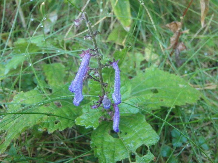f0193521_14333184.jpg