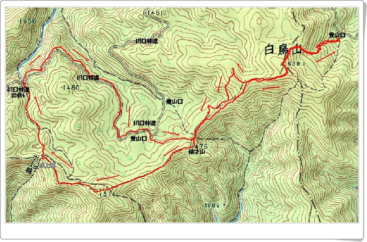 f0193521_358134.jpg