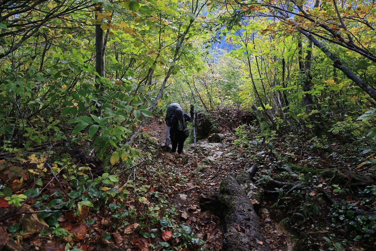 b0062024_12021200.jpg