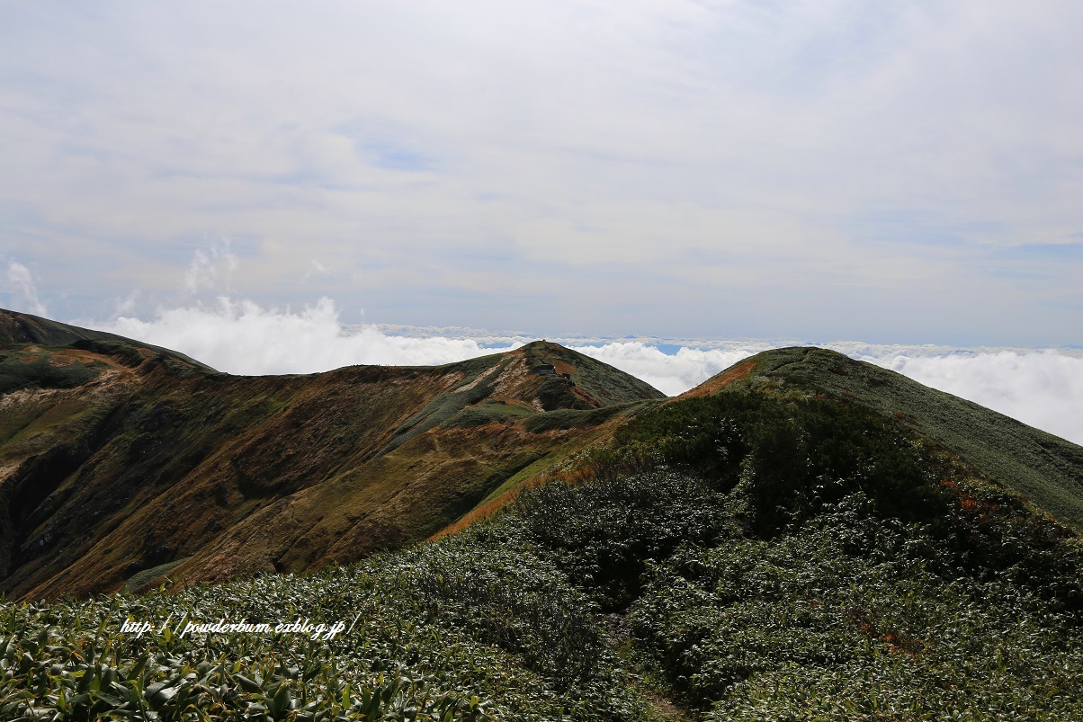 b0062024_13401593.jpg