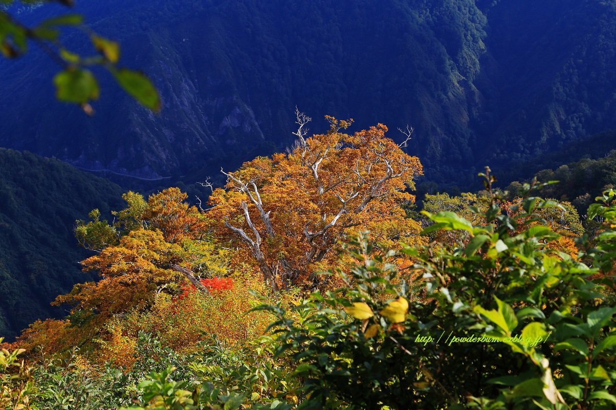 b0062024_13434000.jpg
