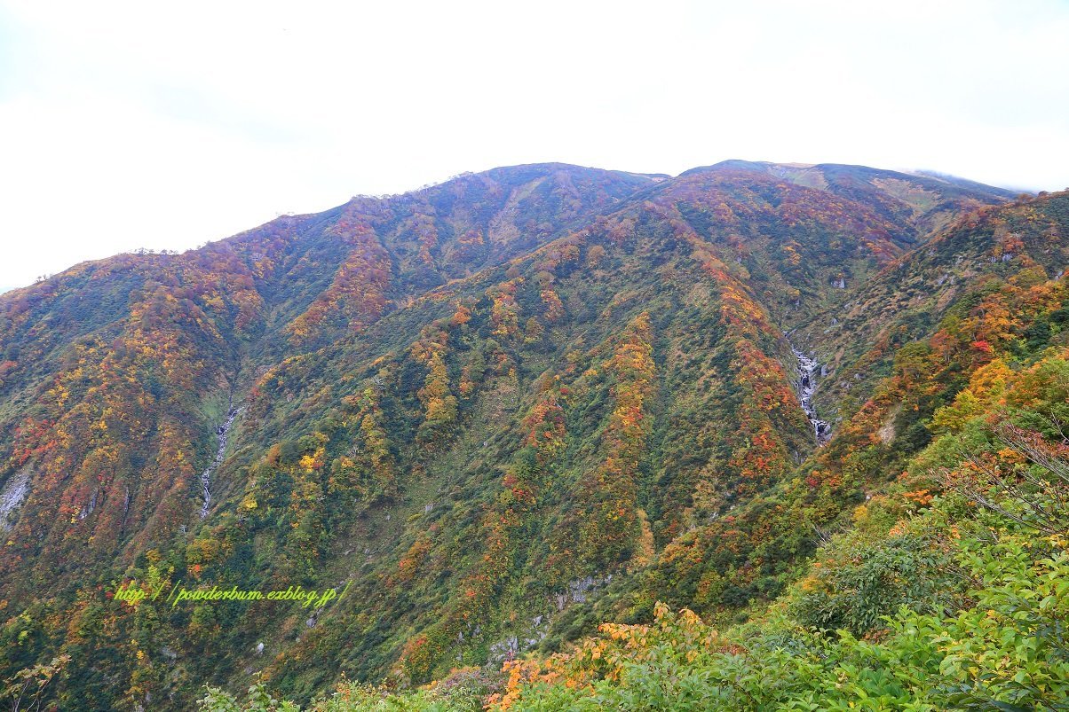 b0062024_13441541.jpg