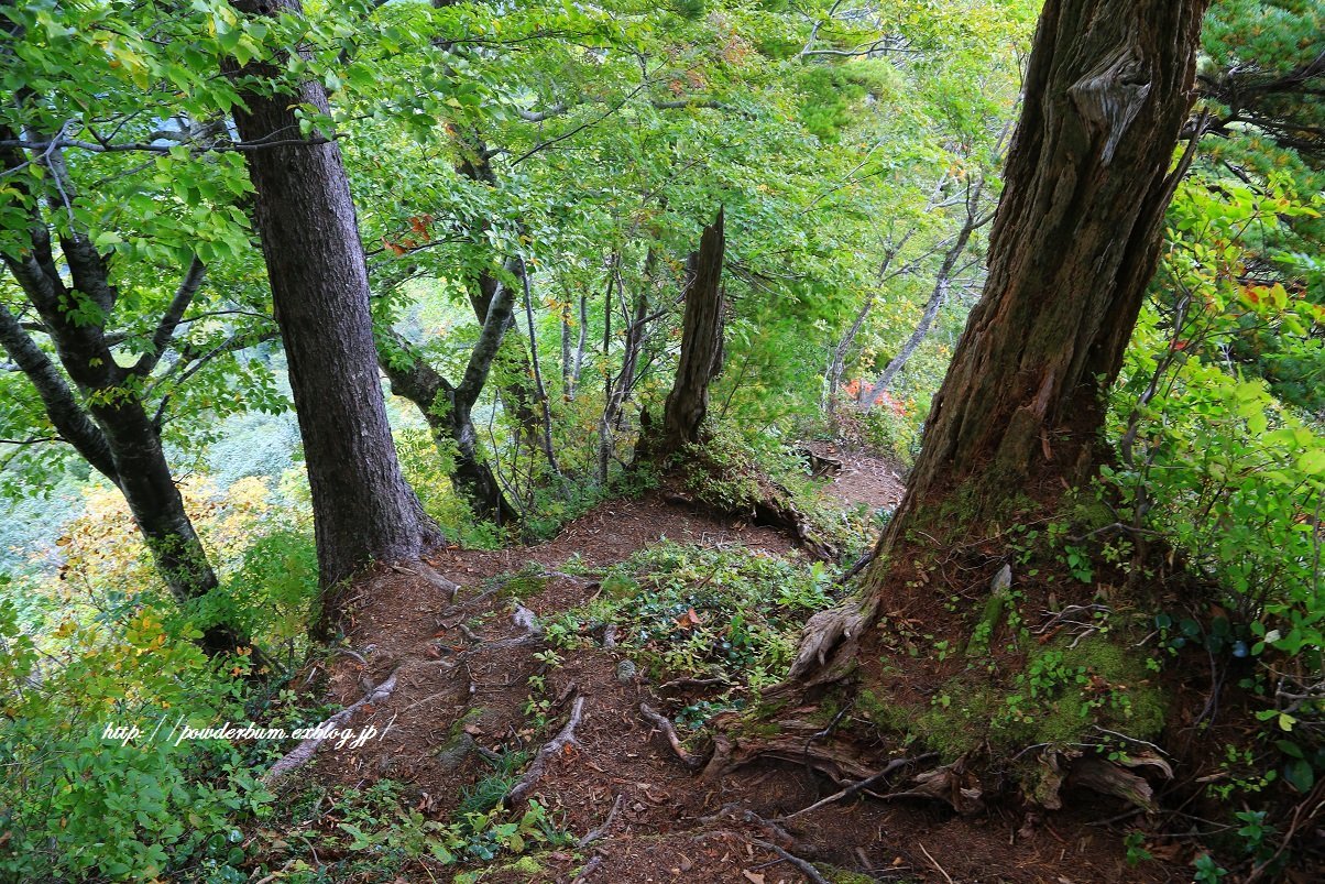 b0062024_13444690.jpg